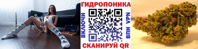 мега ссылка  цены наркотик  Белая Калитва  Каннабис THC 21% 